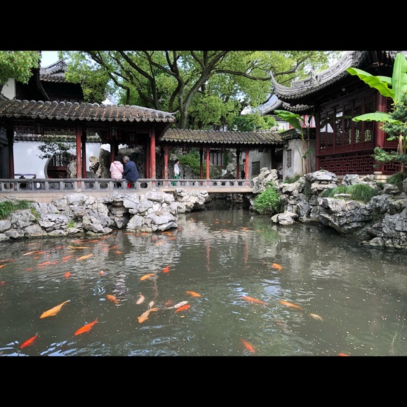 Meet your Posher, Emily - Picture 1 of 1